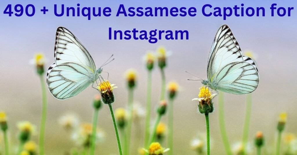 490 + Unique Assamese Caption for Instagram
