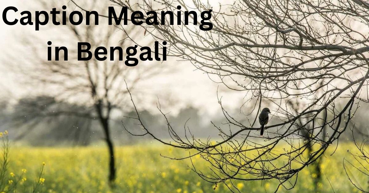 Caption Meaning in Bengali