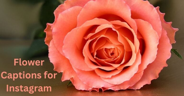 Flower Captions for Instagram