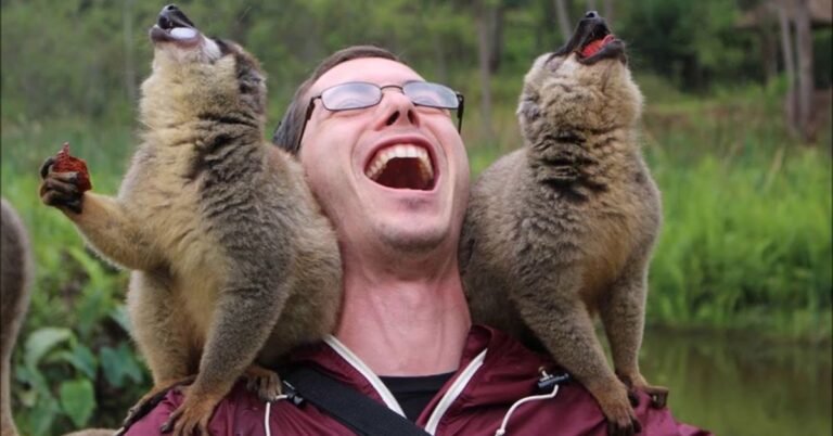 Funny Captions